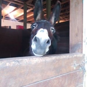 Meet your Posher, Vicki